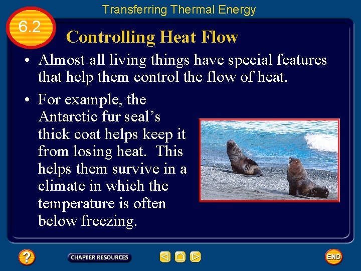 Transferring Thermal Energy 6. 2 Controlling Heat Flow • Almost all living things have