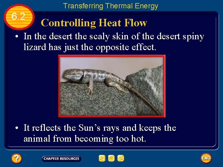 Transferring Thermal Energy 6. 2 Controlling Heat Flow • In the desert the scaly