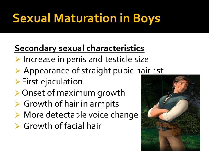 Sexual Maturation in Boys Secondary sexual characteristics Ø Increase in penis and testicle size