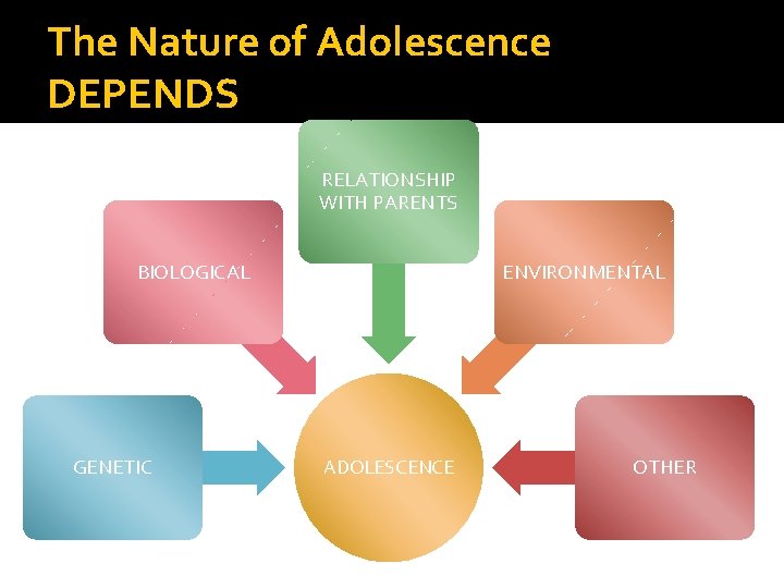 The Nature of Adolescence DEPENDS RELATIONSHIP WITH PARENTS BIOLOGICAL GENETIC ENVIRONMENTAL ADOLESCENCE OTHER 