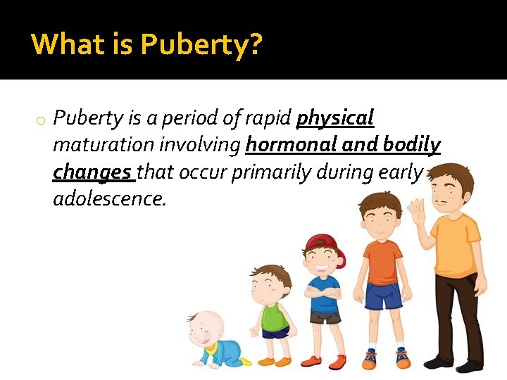 What is Puberty? o Puberty is a period of rapid physical maturation involving hormonal