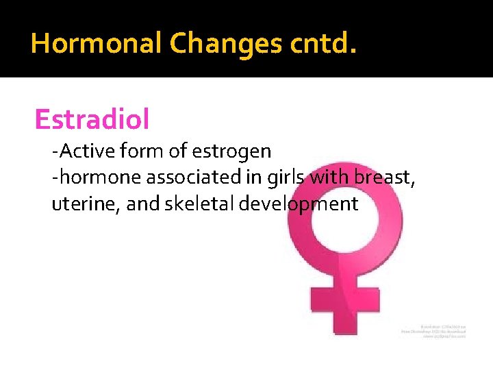 Hormonal Changes cntd. Estradiol -Active form of estrogen -hormone associated in girls with breast,