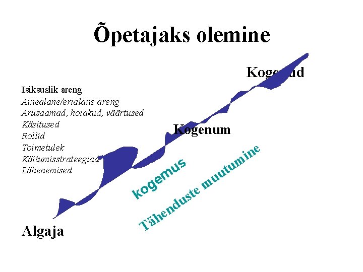 Õpetajaks olemine Kogenud Isiksuslik areng Ainealane/erialane areng Arusaamad, hoiakud, väärtused Käsitused Rollid Toimetulek Käitumisstrateegiad