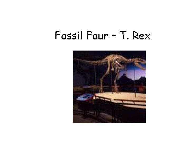 Fossil Four – T. Rex 