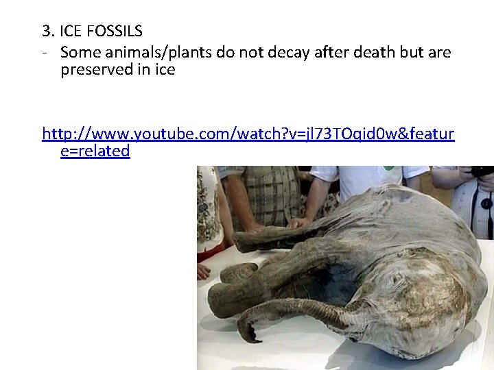 3. ICE FOSSILS - Some animals/plants do not decay after death but are preserved
