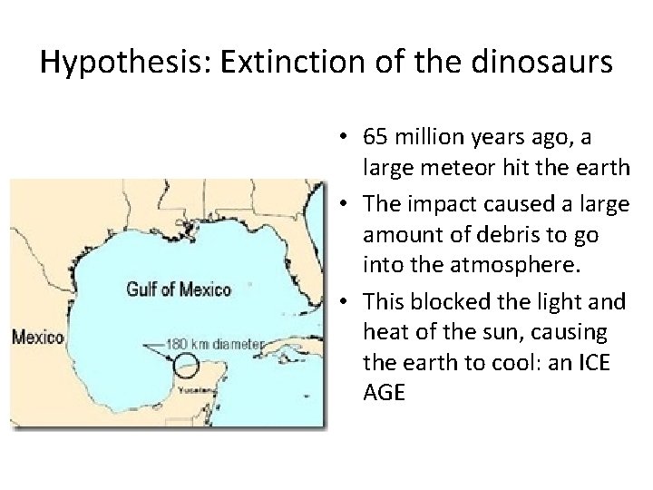 Hypothesis: Extinction of the dinosaurs • 65 million years ago, a large meteor hit