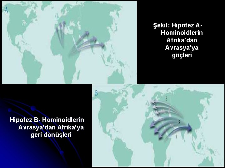 Şekil: Hipotez AHominoidlerin Afrika’dan Avrasya’ya göçleri Hipotez B- Hominoidlerin Avrasya’dan Afrika’ya geri dönüşleri 