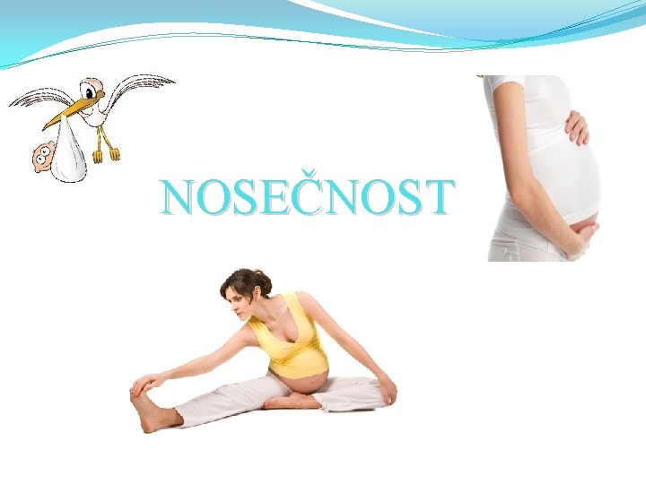 NOSEČNOST 