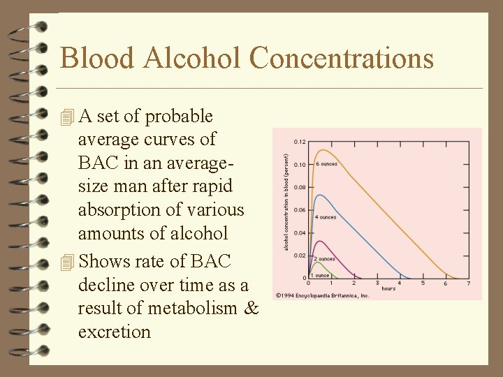 Blood Alcohol Concentrations 4 A set of probable average curves of BAC in an