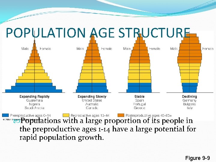 POPULATION AGE STRUCTURE Populations with a large proportion of its people in the preproductive