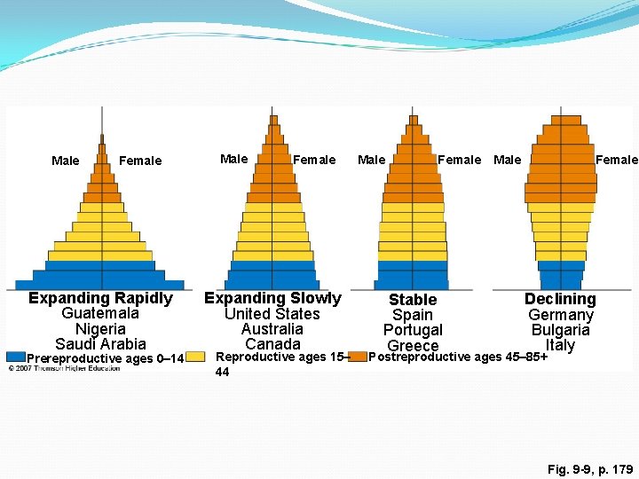 Male Female Expanding Rapidly Guatemala Nigeria Saudi Arabia Prereproductive ages 0– 14 Male Female