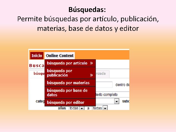 Búsquedas: Permite búsquedas por artículo, publicación, materias, base de datos y editor 