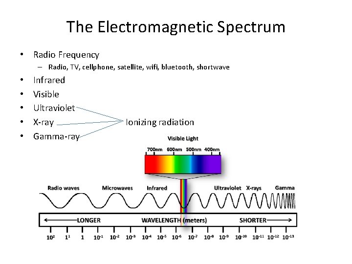 The Electromagnetic Spectrum • Radio Frequency – Radio, TV, cellphone, satellite, wifi, bluetooth, shortwave