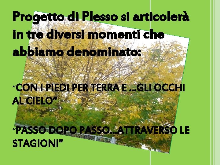 Progetto di Plesso si articolerà in tre diversi momenti che abbiamo denominato: “CON I