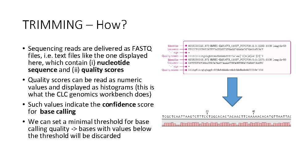 TRIMMING – How? • Sequencing reads are delivered as FASTQ files, i. e. text