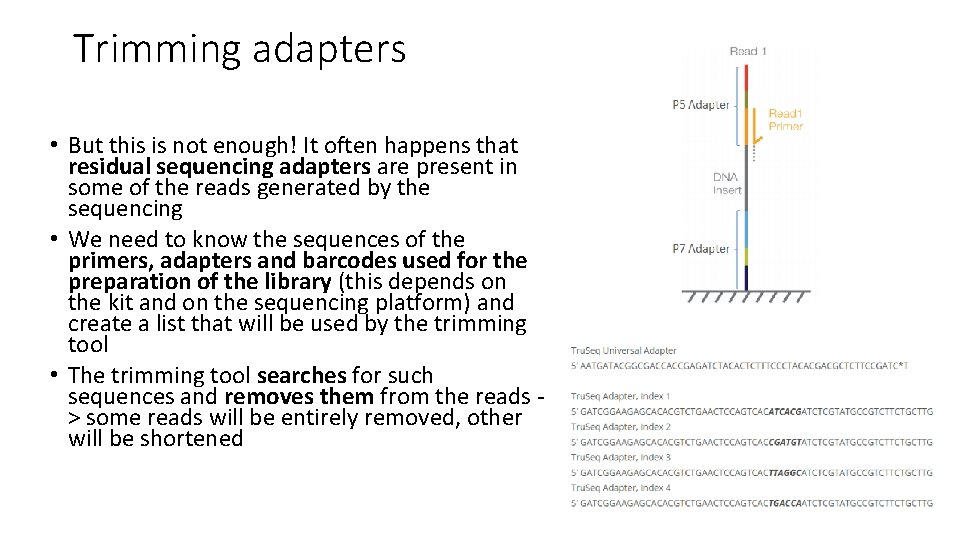 Trimming adapters • But this is not enough! It often happens that residual sequencing