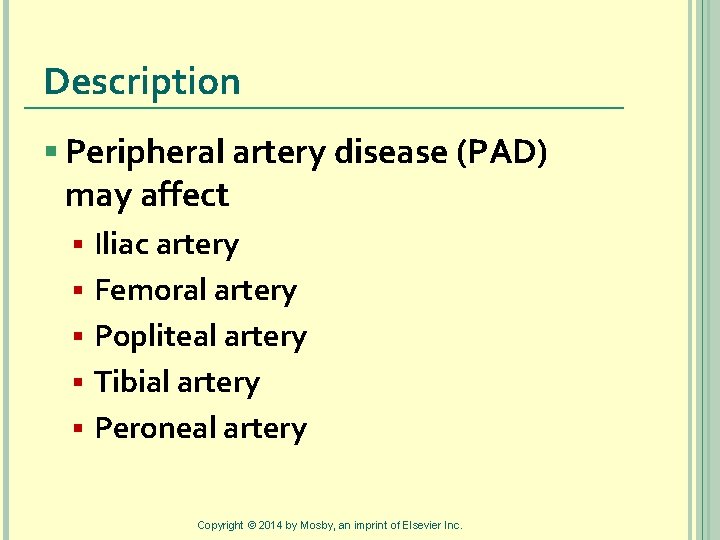 Description § Peripheral artery disease (PAD) may affect § § § Iliac artery Femoral