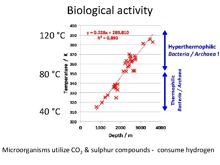 Biological activity 120 °C 80 °C 40 °C Thermophilic Bacteria / Archaea Hyperthermophilic Bacteria