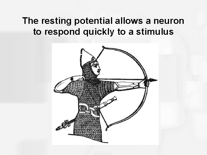 The resting potential allows a neuron to respond quickly to a stimulus 