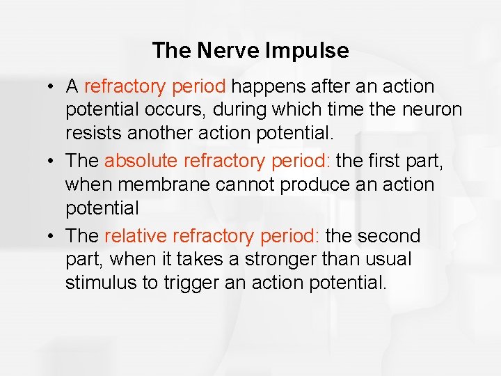 The Nerve Impulse • A refractory period happens after an action potential occurs, during
