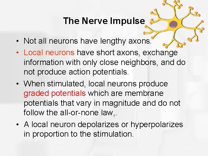 The Nerve Impulse • Not all neurons have lengthy axons. • Local neurons have