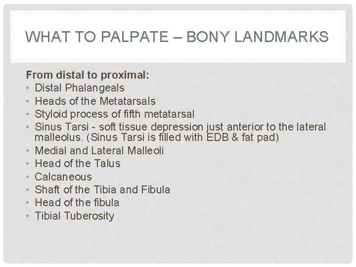 WHAT TO PALPATE – BONY LANDMARKS From distal to proximal: • Distal Phalangeals • WHAT TO PALPATE – BONY LANDMARKS From distal to proximal: • Distal Phalangeals •