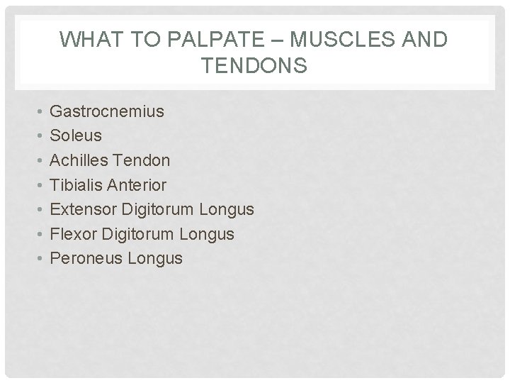 WHAT TO PALPATE – MUSCLES AND TENDONS • • Gastrocnemius Soleus Achilles Tendon Tibialis WHAT TO PALPATE – MUSCLES AND TENDONS • • Gastrocnemius Soleus Achilles Tendon Tibialis