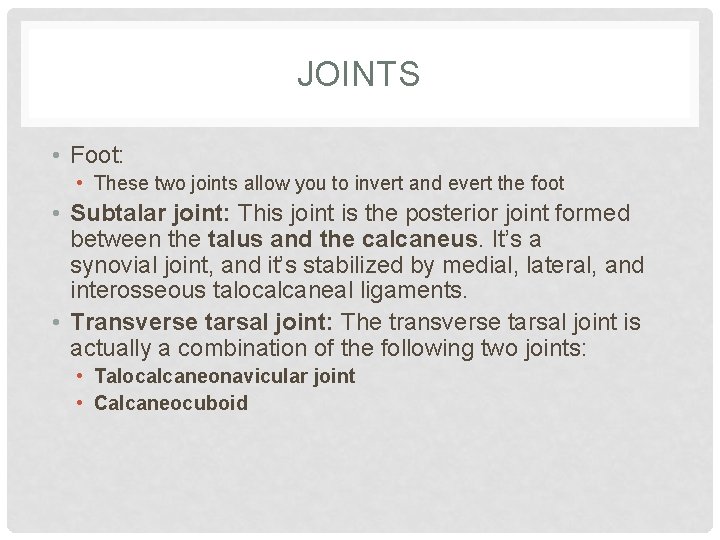 JOINTS • Foot: • These two joints allow you to invert and evert the JOINTS • Foot: • These two joints allow you to invert and evert the