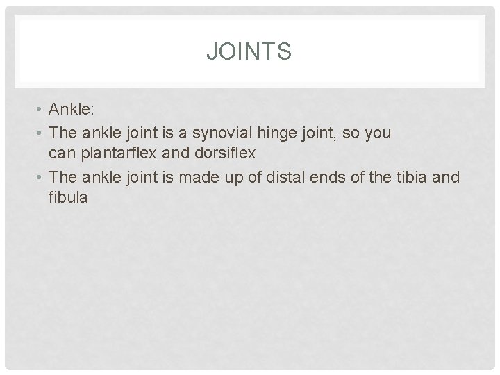 JOINTS • Ankle: • The ankle joint is a synovial hinge joint, so you JOINTS • Ankle: • The ankle joint is a synovial hinge joint, so you