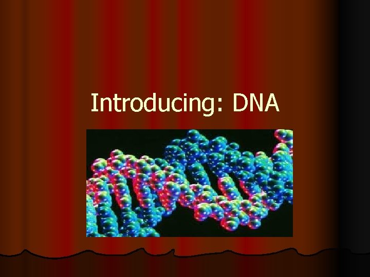 Introducing: DNA 