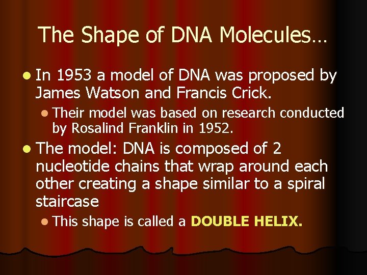 The Shape of DNA Molecules… l In 1953 a model of DNA was proposed