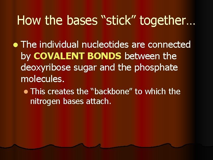 How the bases “stick” together… l The individual nucleotides are connected by COVALENT BONDS