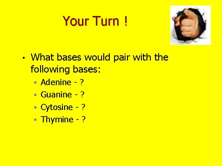 Your Turn ! • What bases would pair with the following bases: Adenine -