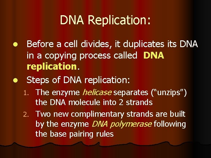 DNA Replication: Before a cell divides, it duplicates its DNA in a copying process