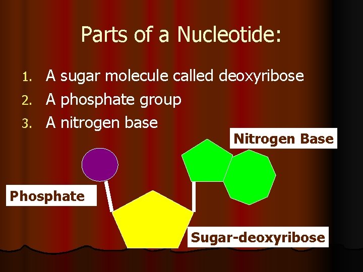 Parts of a Nucleotide: A sugar molecule called deoxyribose 2. A phosphate group 3.