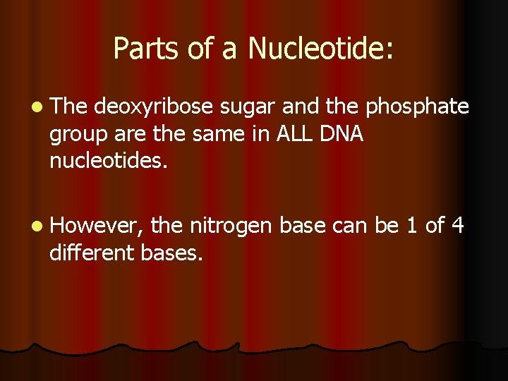 Parts of a Nucleotide: l The deoxyribose sugar and the phosphate group are the