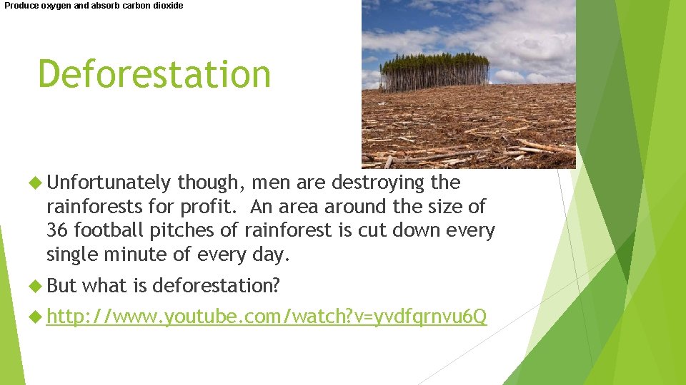Produce oxygen and absorb carbon dioxide Deforestation Unfortunately though, men are destroying the rainforests