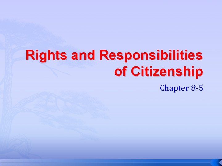 Rights and Responsibilities of Citizenship Chapter 8 -5 
