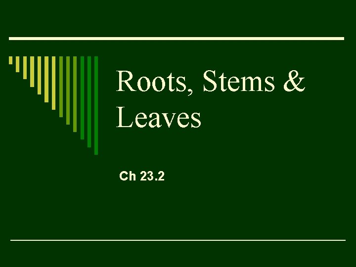 Roots, Stems & Leaves Ch 23. 2 