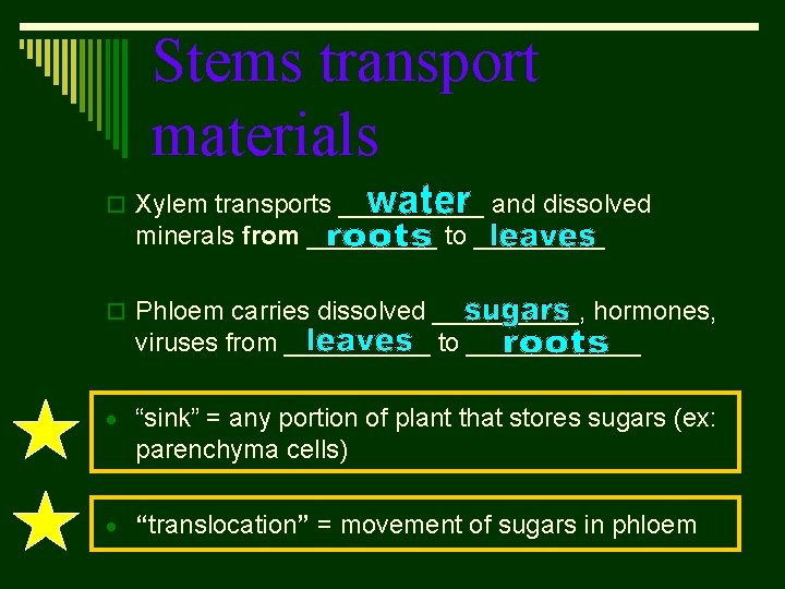 Stems transport materials o Xylem transports _____ and dissolved minerals from _____ to _____