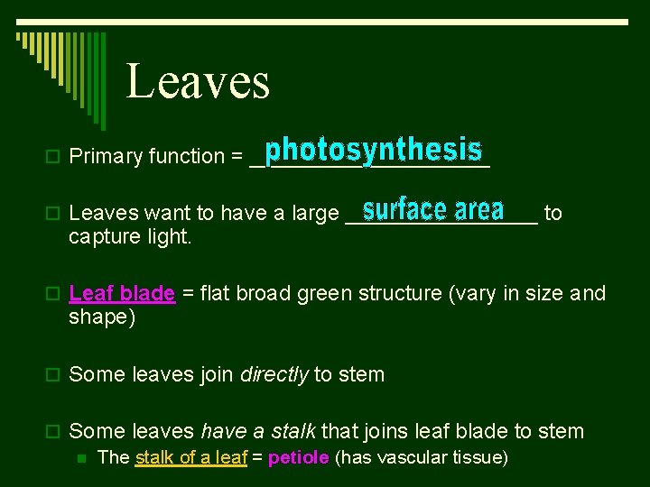 Leaves o Primary function = __________ o Leaves want to have a large ________