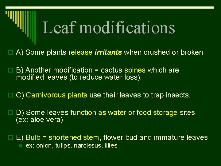 Leaf modifications o A) Some plants release irritants when crushed or broken o B)