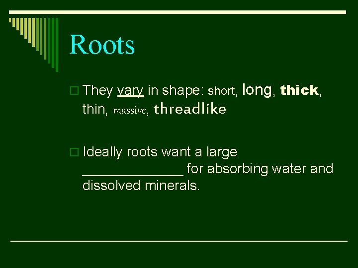 Roots o They vary in shape: short, long, thick, thin, massive, threadlike o Ideally