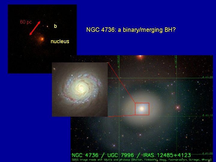 60 pc b nucleus NGC 4736: a binary/merging BH? 