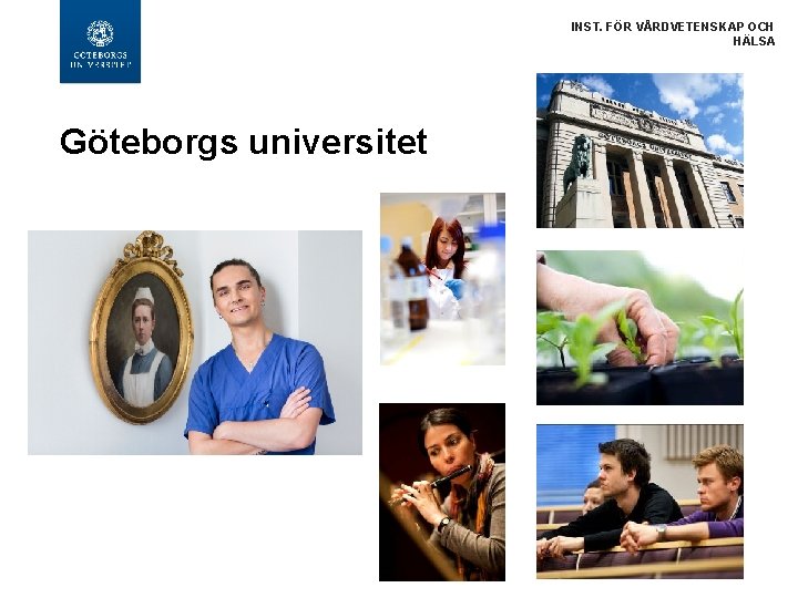 INST. FÖR VÅRDVETENSKAP OCH HÄLSA Göteborgs universitet 