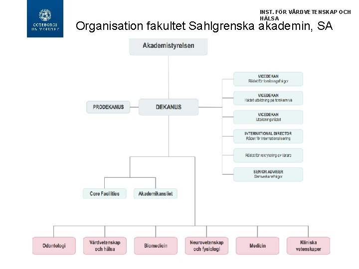 INST. FÖR VÅRDVETENSKAP OCH HÄLSA Organisation fakultet Sahlgrenska akademin, SA 