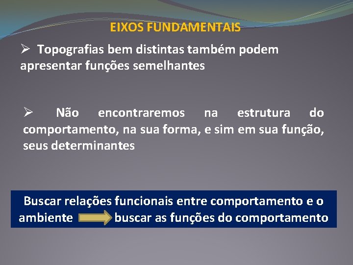 EIXOS FUNDAMENTAIS Ø Topografias bem distintas também podem apresentar funções semelhantes Ø Não encontraremos