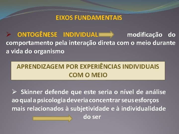 EIXOS FUNDAMENTAIS Ø ONTOGÊNESE INDIVIDUAL modificação do comportamento pela interação direta com o meio EIXOS FUNDAMENTAIS Ø ONTOGÊNESE INDIVIDUAL modificação do comportamento pela interação direta com o meio