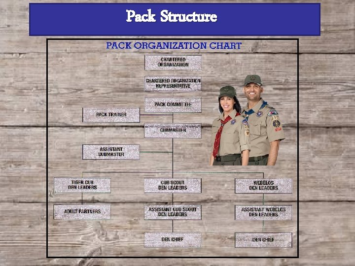 Pack Structure 
