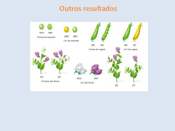 Outros resultados 